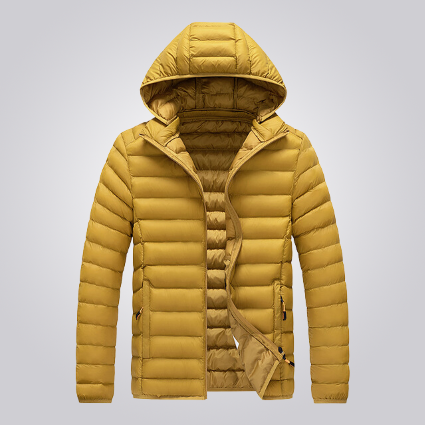 Glacier | Cotton padded jacket (with removable cap)